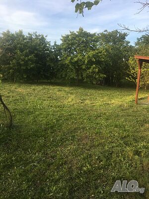 image_8