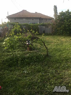 image_9