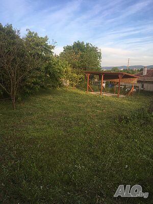 image_11