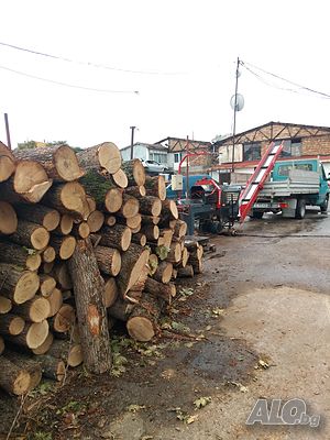 image_12
