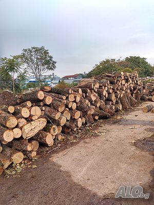 image_14