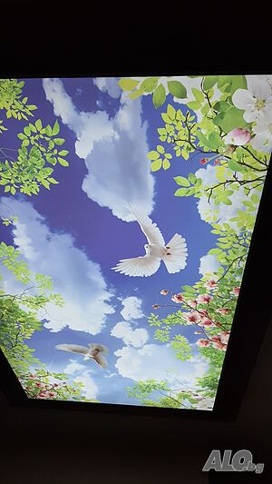 image_5