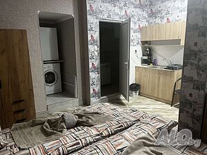 image_7
