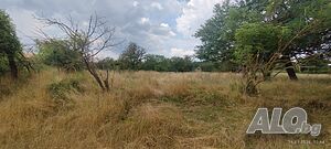 Парцел в село Аврен, обл. Варна