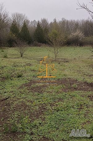 🌳 Парцел - село Левски, Област Варна (Обява N:433757) 🌳