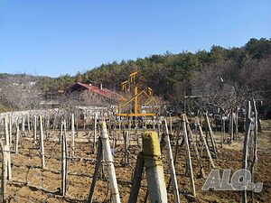 image_4
