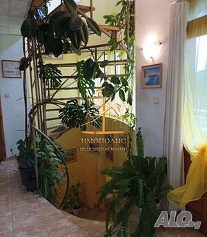 image_8