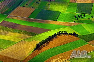 Нива Земеделска земя парцел в село Гълъбник до София Перник Радомир
