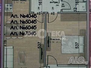 image_7