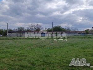 image_3