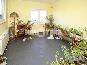 image_5