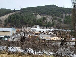 image_3
