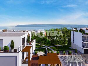 image_11