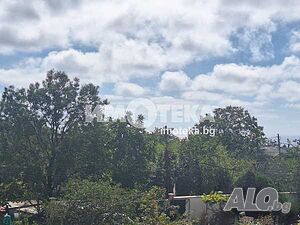 image_7
