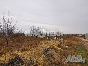 Земеделска земя, Чешнегирово, 21402 кв.м., 129000 €