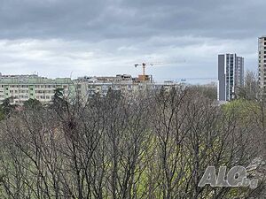 image_9