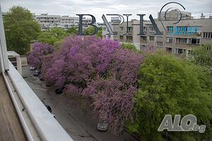 image_10