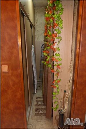 image_15