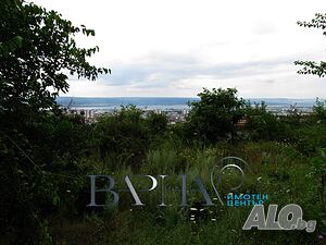 image_2