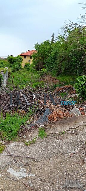 image_8