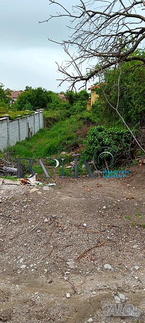 image_9