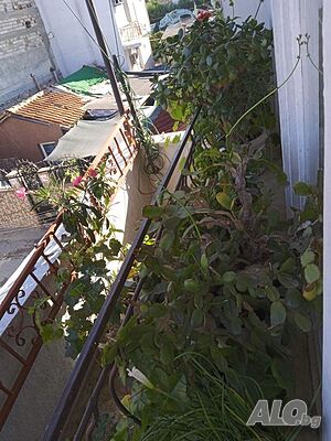 image_13