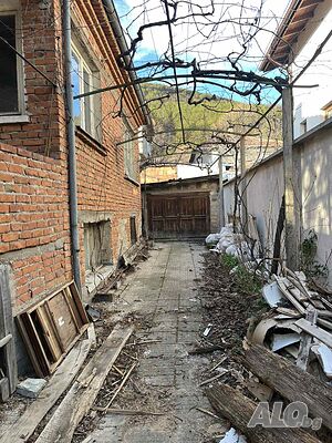 image_7