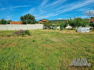image_6