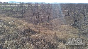 image_9