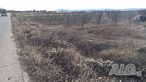 image_10