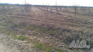 image_13