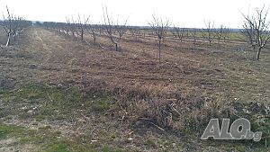 image_14