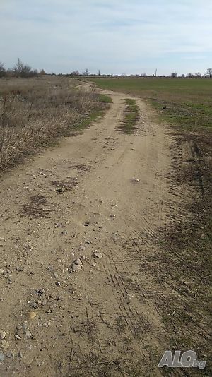 image_15