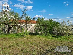 image_3