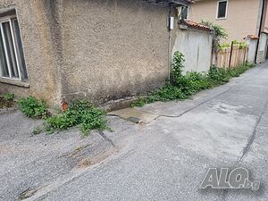 image_6