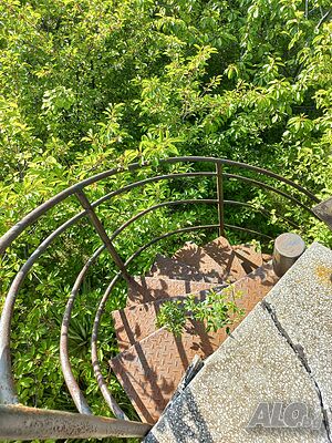 image_12