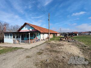 Къща със стопански постройки, мандра и 4290 кв.м земя - с. Балювица, общ. Берковица
