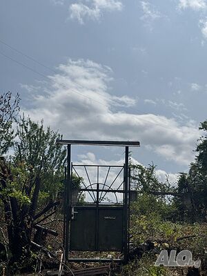 image_8