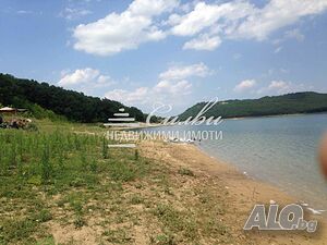 image_6