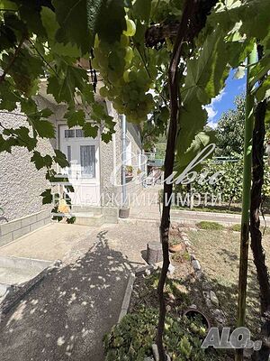 image_11