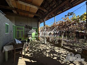 image_15