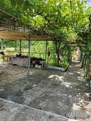 image_15