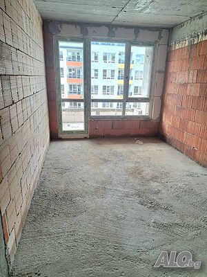 image_6