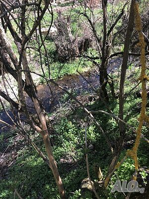 image_13