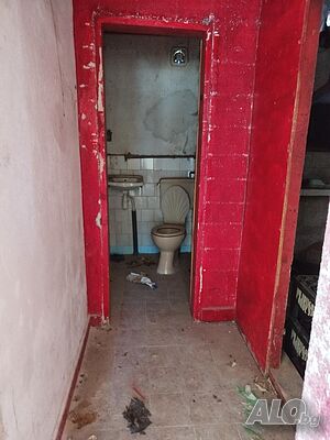 image_11