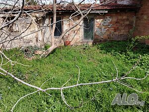 image_11