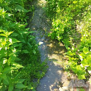 image_4