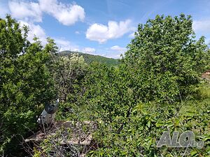 image_9