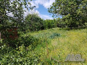 image_10