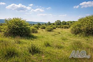 Продава се земеделска земя в землището на с. Панаретовци, общ. Сливен